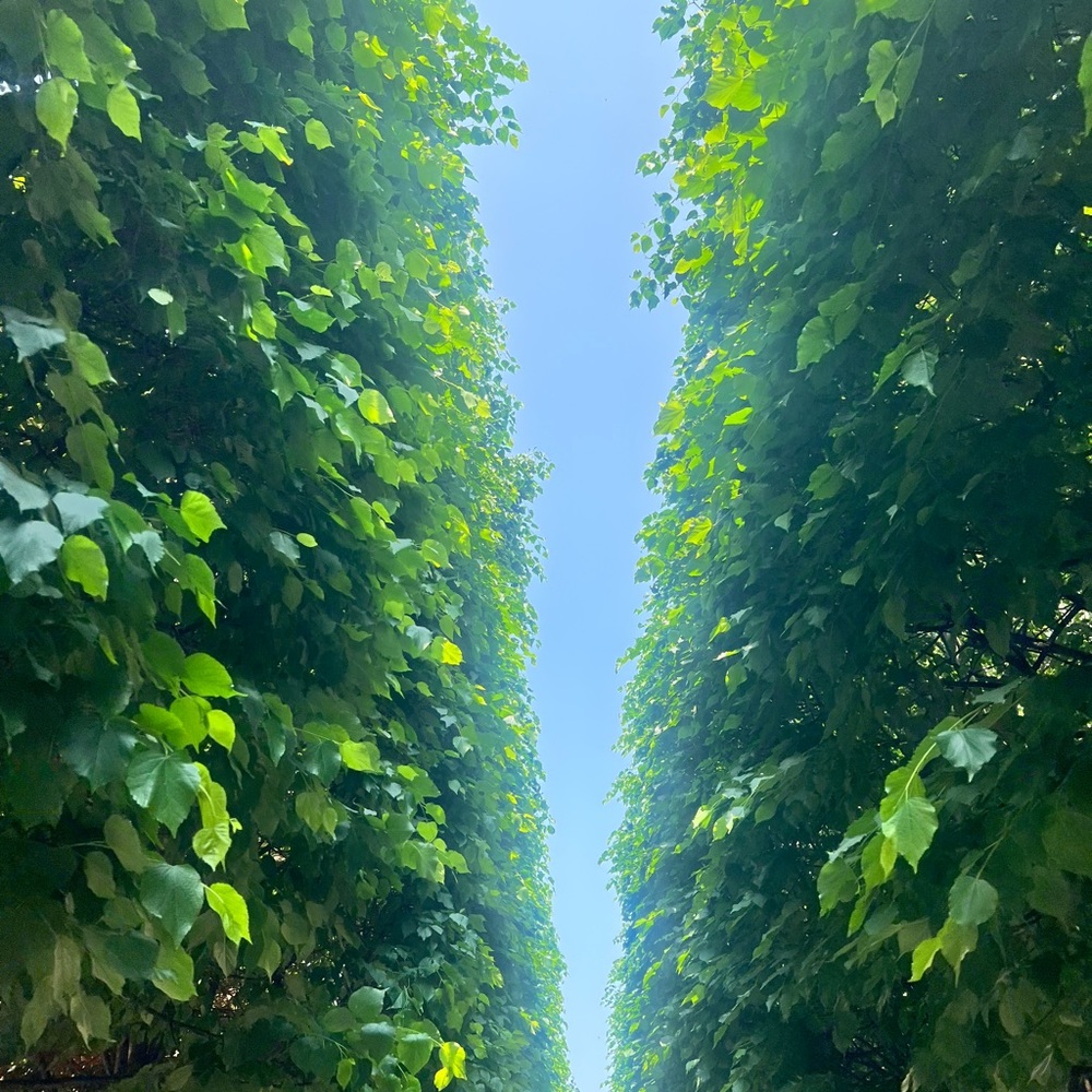 Meet your Posher, Shereese